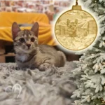 Kerek lithophane karácsonyfadísz saját fotóval!